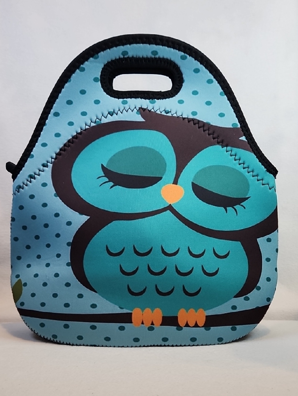 Source Unknown Teal Owl Insulated Lunch Tote with Orange Accents
